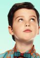 Young Sheldon character looking up, wearing a colorful plaid shirt and bow tie, embodying youthful curiosity and charm.