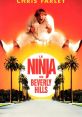 Chris Farley in a comedic pose from "Beverly Hills Ninja" with palm trees and vibrant sunset backdrop.