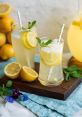 Limonade The word "Limonade" is to my ears. It conjures up images of refreshing lemonade on a hot summer day. The very 