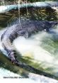 Lolong Naapakan "Lolong Naapakan". The words echo through the dense jungle, bouncing off the towering trees and winding