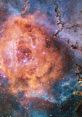 Cosmos Play and download Cosmos clips. #neil degrasse tyson #wow #woah #shocked #shocking #space #universe #explosion