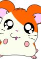 Hamtaro lily temper tantrum The familiar of Hamtaro's high-pitched voice can be heard as he tries to reason with his