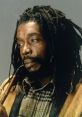 Peter Tosh Play and download Peter Tosh clips. #peter tosh #not gonna give it up #live at the greek