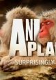 Animal Planet Videos Play and download Animal Planet Videos clips. #big mouth #yelling #jump #animal #youtube #cat #kitty