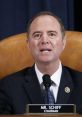 Adam Schiff Play and download Adam Schiff clips. #articles of impeachment #our oath means something to us #trump #oath of