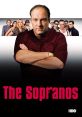 Tony Soprano leads the iconic HBO series, featuring a memorable cast exploring mob life and family dynamics.