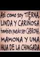 Abreme hija de la chingada Abreme hija de la chingada. The phrase reverberates through the empty hallways, echoing off the