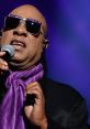 Stevie Wonder Stevie Wonder: A al Icon of our Time Stevie Wonder, born Stevland Hardaway Judkins, is widely regarded as