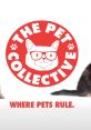 Pet collective Play and download Pet collective clips. #bod #dog #mom #puppies #play #playing #mother #babies #pups #cute