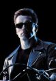 Terminator 2 Play and download Terminator 2 clips. #see you later #goodbye #hasta la vista #arnold schwarzenegger #forced