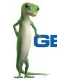 GEICO Play and download GEICO clips. #its hump day #guess what day it is #geico #hump day #wednesday #one in hand #two in