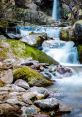 Mountain Stream Play and download Mountain Stream clips. #nature #birds #chirping #babbling brook #river