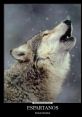 Lobo auuuu The of "Lobo auuuu" echoes through the forest, a hauntingly beautiful call that signals the presence of the