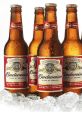 Budweiser Play and download Budweiser clips. #wassup #wazzup #whats up #budwesier commercial #budweiser #this buds for