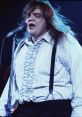 Meat Loaf Meat Loaf is an iconic American rock ian and actor, best known for his powerful voice and theatrical performances.