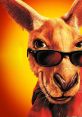 Kangaroo Jack Play and download Kangaroo Jack clips. #kangaroo jack #fart #camels #anthony anderson #gas #toot #claim it