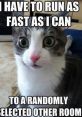 Surprised cat with text humorously expressing urgency to run to another room, embodying the Cat Laugh meme spirit.