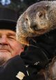 Groundhog Day Play and download Groundhog Day clips. #dinner #planns for dinner #date #ask out #close on this one #so close