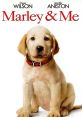 Marley & Me Play and download Marley & Me clips. #countdown #one two three #start #get ready #timer #wait for it