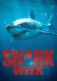 Shark Week Play and download Shark Week clips. #shark week #shaquille oneal #swim #dive #scared #scary #tried to kill me