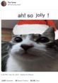 Joly Ah The first that comes to mind when thinking about Joly Ah is a playful laughter, a joyful exclamation that fills the