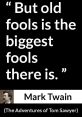 OLD FOOL PROTECT The first that comes to mind when thinking about "OLD FOOL PROTECT" is the creaking of an old wooden door.