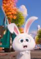 Secret Life of Pets Play and download Secret Life of Pets clips. #look at yourself #disgust #disapproval #cat #secret