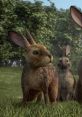 Watership down Play and download Watership down clips. #dog attack #wild dog #vicious #assault