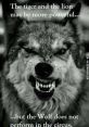 Wolf enough!!! The of a wolf's haunting howl echoed through the dense forest, sending shivers down the spine of anyone