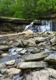 Cleveland Metroparks Play and download Cleveland Metroparks clips. #thisiscle