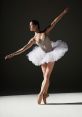 Ballerinaa The soft rustle of tulle skirts and delicate ballet slippers echoed through the rehearsal studio as the