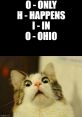 Cat in ohio69 The first that comes to mind when thinking about "Cat in ohio69" is a playful meow. This distinct is a