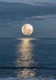 Moon Light The gentle rustling of leaves in the darkness of the night, bathed in the ethereal glow of Moon Light, creates an