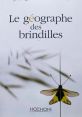 Brindilles qui se cassent#2 If you close your eyes and listen closely, you can hear the delicate of "Brindilles qui se