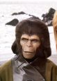 Planet of the Apes Play and download Planet of the Apes clips. #planet of the apes #charlton heston #george taylor #smile