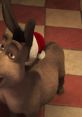 Donkey's Caroling Christmas Play and download Donkey's Caroling Christmas clips. #favourite time of the year #christmas