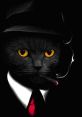 Cat Agent Play and download Cat Agent clips. #alcohol #date #bar #club #dont drink #kill #murder #threat #i will kill you