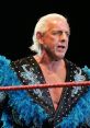 Rid Flair Play and download Rid Flair clips. #america #usa #united states #ric flair promo #nikita koloff