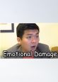 Adel: "Emotional Damage" – Steven He The in "Adel: Emotional Damage" by Steven He evoke a range of emotions, from