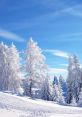 Winter Play and download Winter clips. #from december 1 #with the beginning of winter #the first day in winter