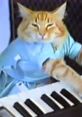 Keyboard Cat Play and download Keyboard Cat clips. #funny cat #keyboard #cat