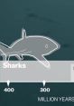 Does Megalodon still exist? Shark Week debunked Soundboard