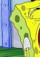 Spongebobuarepants Meme Play and download Spongebobuarepants Meme clips. #spongebob #are you ready to go crazy