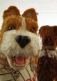 Isle of Dogs Video Clip Play and download Isle of Dogs Video Clip clips. #dogs going after unknown package #is it worth