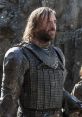 Sandor Clegane Play and download Sandor Clegane clips. #sandor clegane #the hound #game of thones #dying #last words