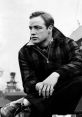 On the Waterfront Play and download On the Waterfront clips. #coulda been a contender #coulda been somebody #failure #bum