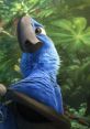 Rio 2 Play and download Rio 2 clips. #welcome back #rio 2 #bruno mars #nigel the cockatoo #think id crumble #think id lay