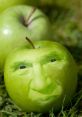 Apple Guy The of "Apple Guy " fills the air with a melodious blend of soothing tunes and upbeat rhythms. As the notes