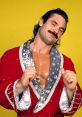 Rick Rude Play and download Rick Rude clips. #grind #thrust #pump #muscles #abs #six pack #striptease #magnificent