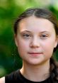 Greta Thunberg Play and download Greta Thunberg clips. #got nothing done #accomplished nothing #not working #climate change